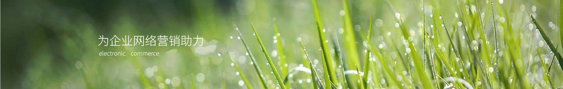 ͻеƼݣ޹˾